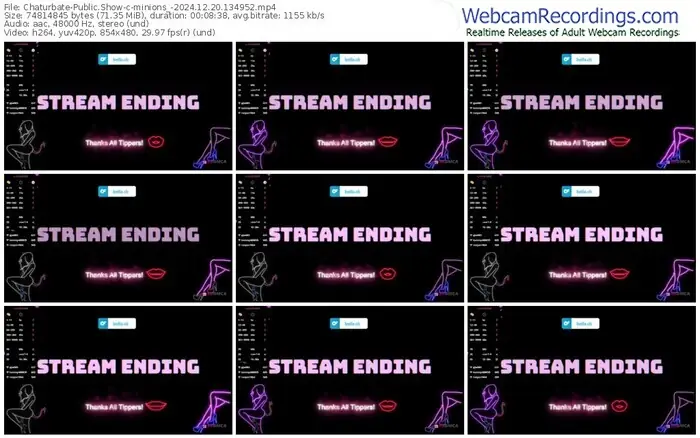 2024/12/20/chaturbate-minions_-13-49-52