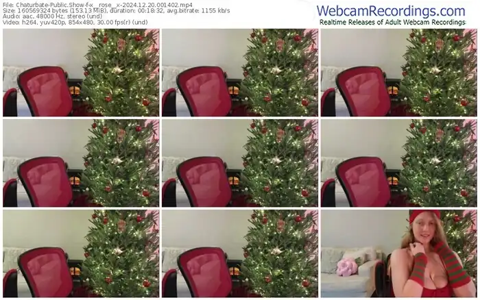 2024/12/20/chaturbate-x__rose__x-00-14-02
