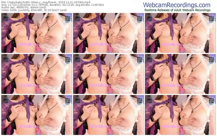 2024/12/21/chaturbate-_mayflower_-16-33-00