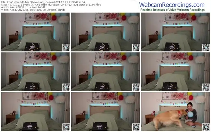 2024/12/21/chaturbate-ari_lovexo-21-33-47