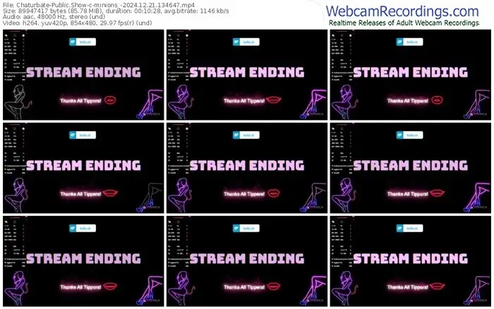 2024/12/21/chaturbate-minions_-13-46-47