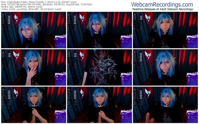 2024/12/21/chaturbate-zelda_1-23-59-07