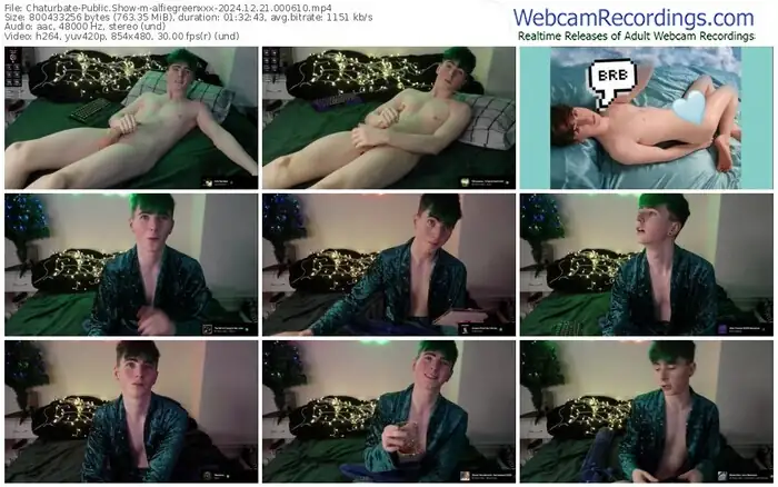 2024/12/21/chaturbate-alfiegreenxxx-00-06-10