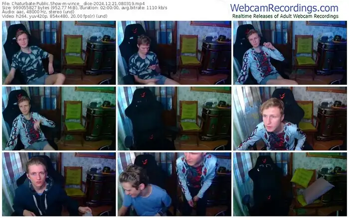 2024/12/21/chaturbate-vince__dice-08-03-19