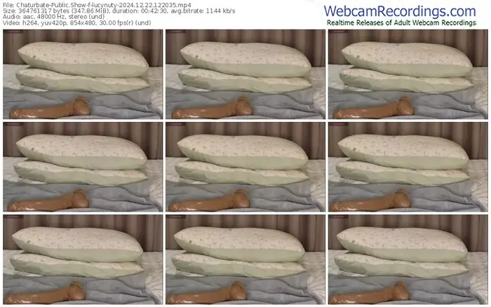 2024/12/22/chaturbate-lucynuty-12-20-35