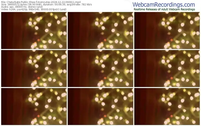 2024/12/22/chaturbate-monicutex-09-09-11