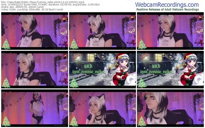 2024/12/22/chaturbate-ronnie_neko-16-53-01