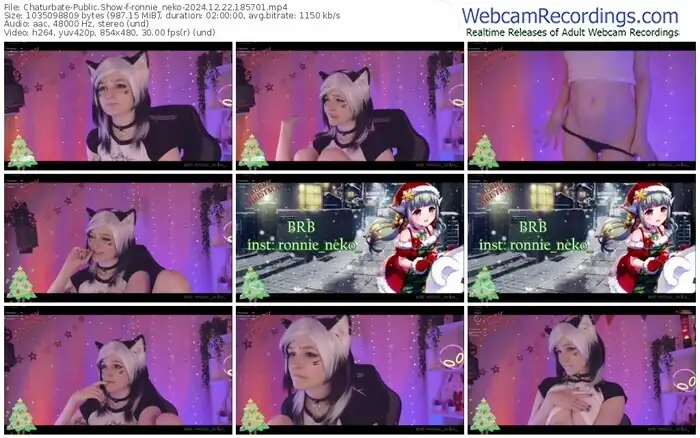 2024/12/22/chaturbate-ronnie_neko-18-57-01
