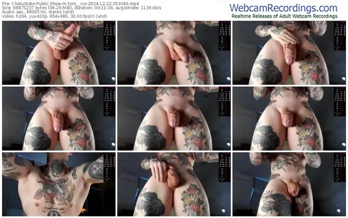2024/12/22/chaturbate-tom__ice-05-30-46