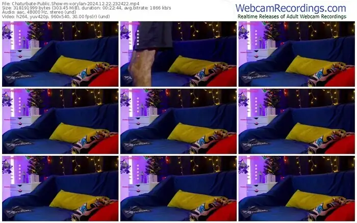2024/12/22/chaturbate-xorylan-23-24-22