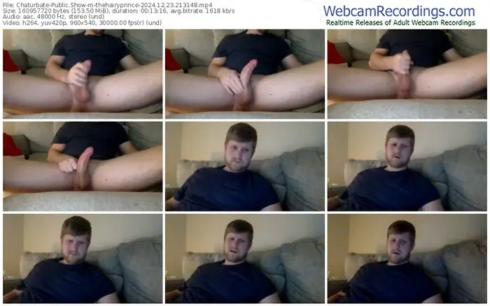 2024/12/23/chaturbate-thehairyprince-21-31-48