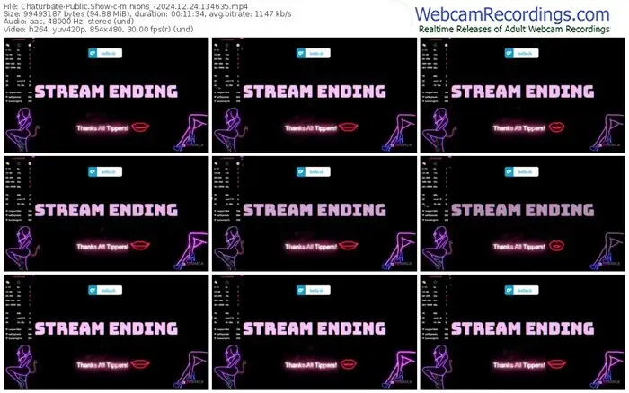 2024/12/24/chaturbate-minions_-13-46-35