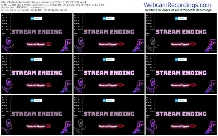 2024/12/25/chaturbate-minions_-13-56-47