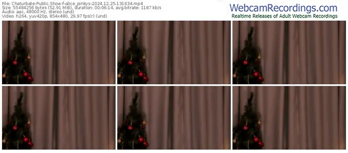 2024/12/25/chaturbate-alice_pinkys-13-16-34