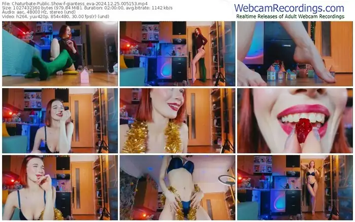 2024/12/25/chaturbate-giantess_eva-00-51-53