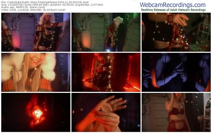 2024/12/25/chaturbate-hannasthesia-00-20-31