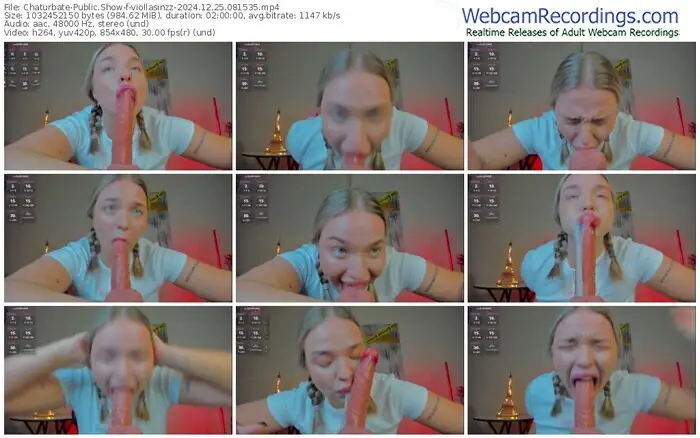 2024/12/25/chaturbate-viollasinzz-08-15-35