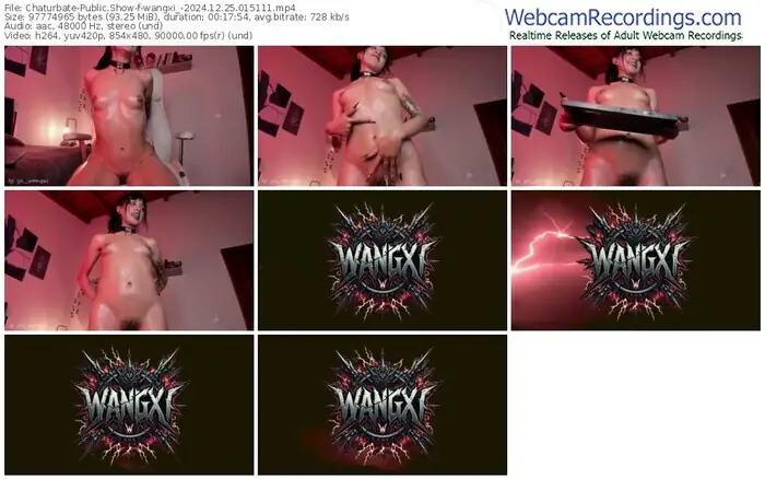 2024/12/25/chaturbate-wangxi_-01-51-11