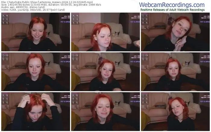 2024/12/26/chaturbate-artemisa_meows-02-24-45