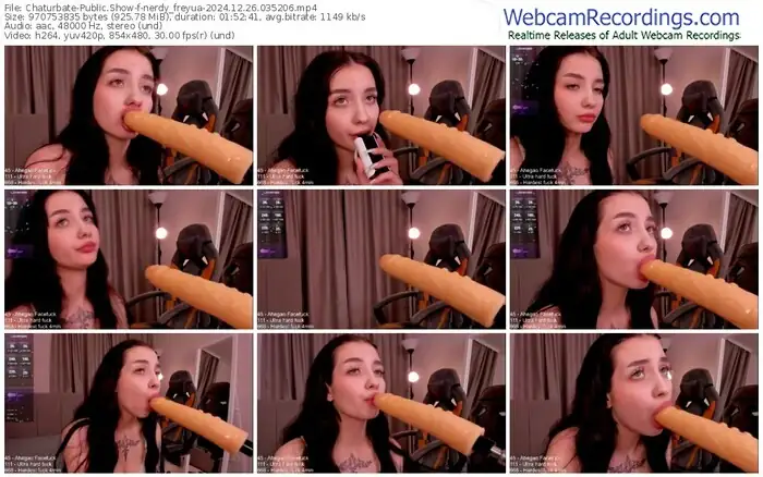 2024/12/26/chaturbate-nerdy_freyua-03-52-06