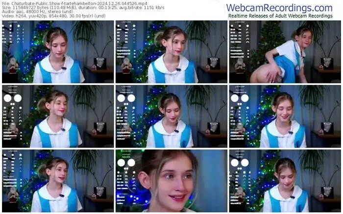 2024/12/26/chaturbate-taitehambelton-04-45-26