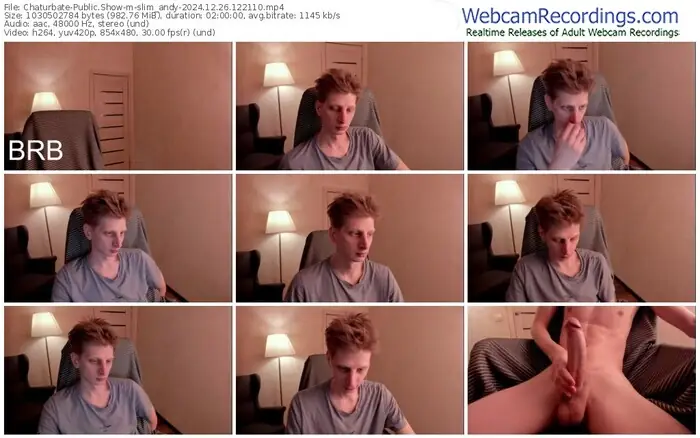 2024/12/26/chaturbate-slim_andy-12-21-10