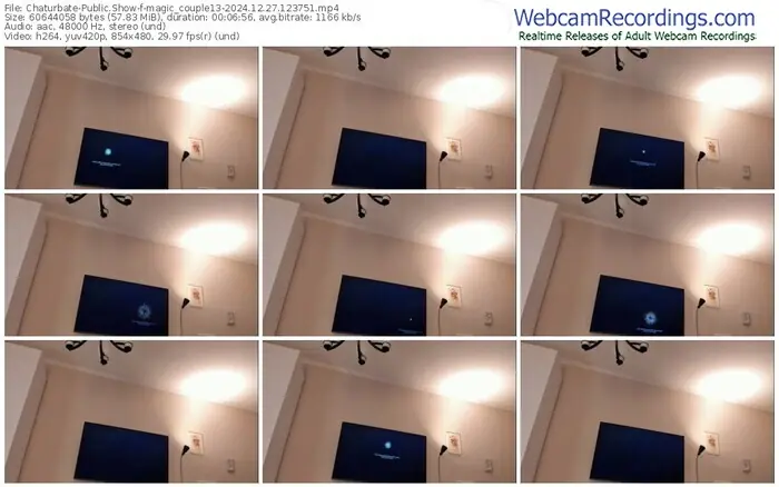 2024/12/27/chaturbate-magic_couple13-12-37-51