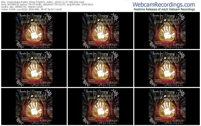 2024/12/27/chaturbate-tantric_eden_-08-12-09