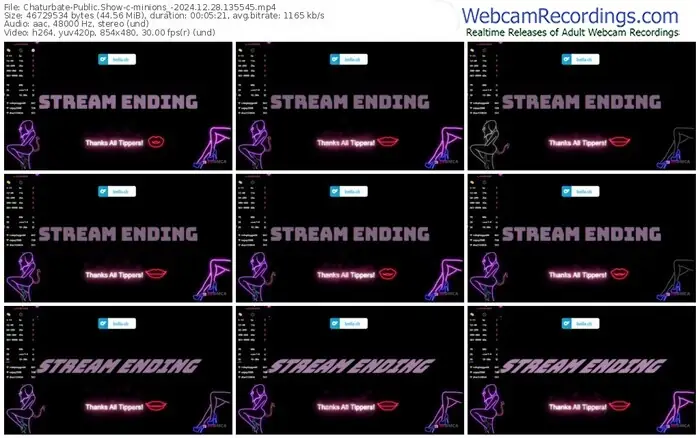 2024/12/28/chaturbate-minions_-13-55-45