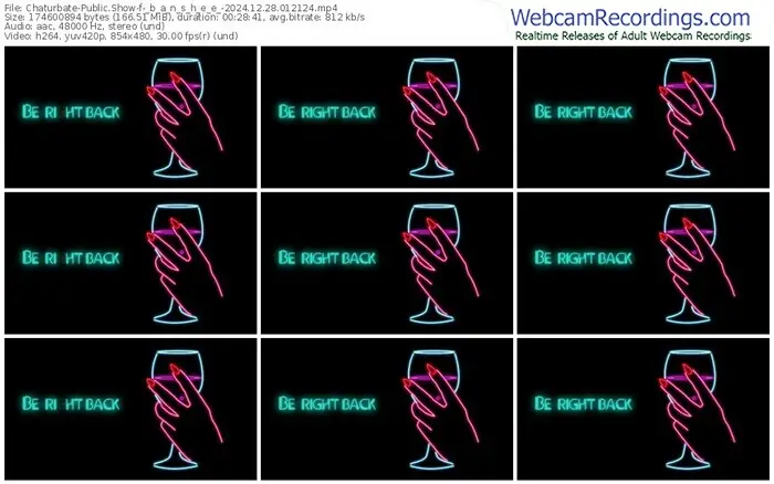 2024/12/28/chaturbate-_b_a_n_s_h_e_e_-01-21-24