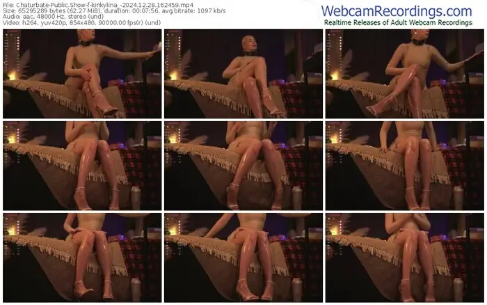 2024/12/28/chaturbate-kinkylina_-16-24-59