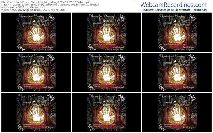 2024/12/28/chaturbate-tantric_eden_-10-26-46