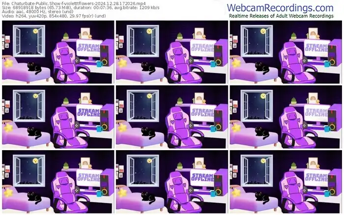 2024/12/28/chaturbate-violetttflowers-17-20-26