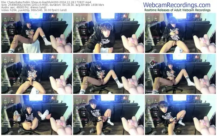 2024/12/28/chaturbate-bashful4200-17-28-27