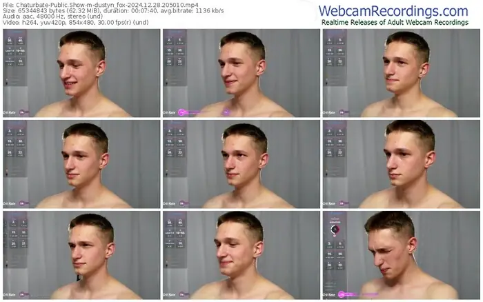 2024/12/28/chaturbate-dustyn_fox-20-50-10