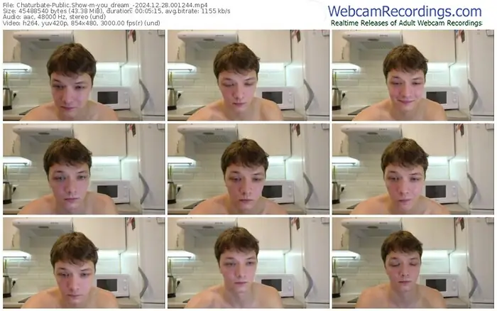 2024/12/28/chaturbate-you_dream_-00-12-44