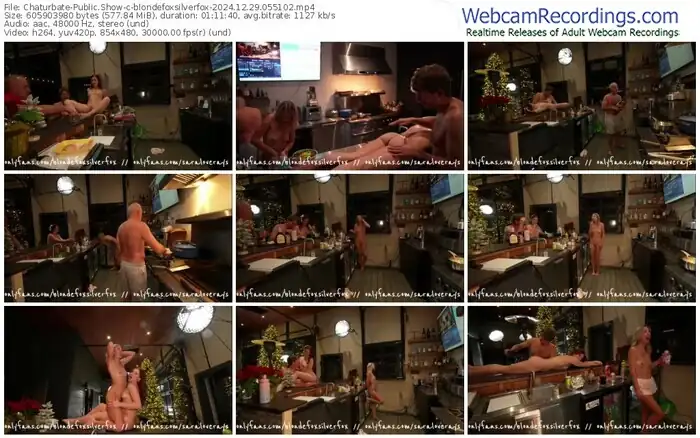 2024/12/29/chaturbate-blondefoxsilverfox-05-51-02