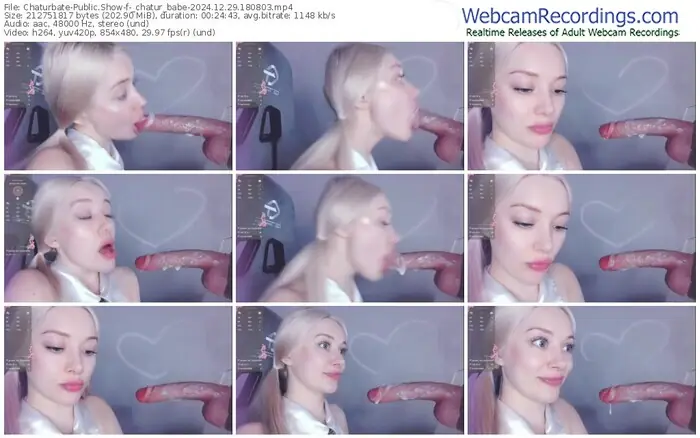 2024/12/29/chaturbate-_chatur_babe-18-08-03