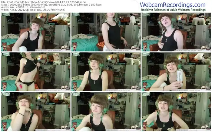 2024/12/29/chaturbate-nami3neko-02-36-49