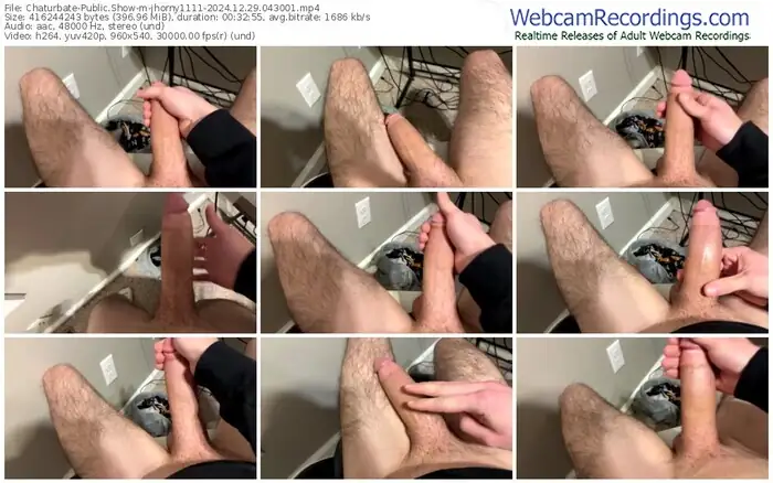 2024/12/29/chaturbate-jhorny1111-04-30-01