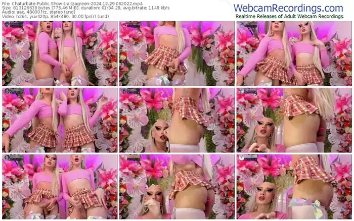 2024/12/29/chaturbate-aitzagreen-06-20-22