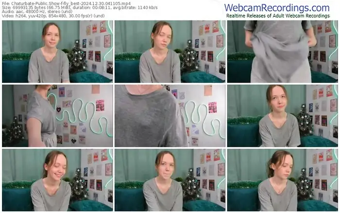 2024/12/30/chaturbate-fly_best-04-11-05