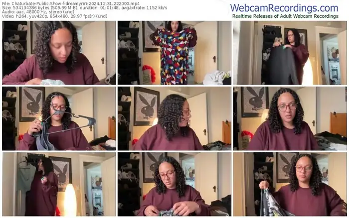 2024/12/31/chaturbate-dreamyriri-22-20-00