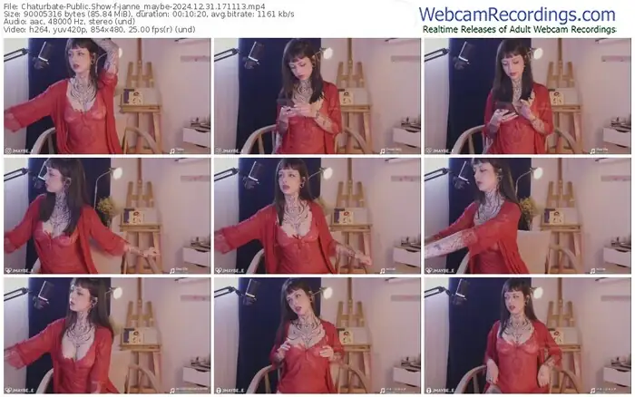 2024/12/31/chaturbate-janne_maybe-17-11-13
