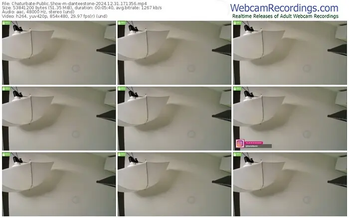 2024/12/31/chaturbate-danteestone-17-13-56