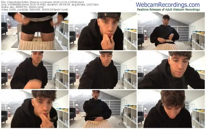 2024/12/31/chaturbate-icyninesix-11-55-40