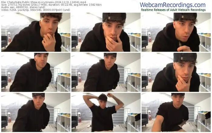 2024/12/31/chaturbate-icyninesix-12-43-41