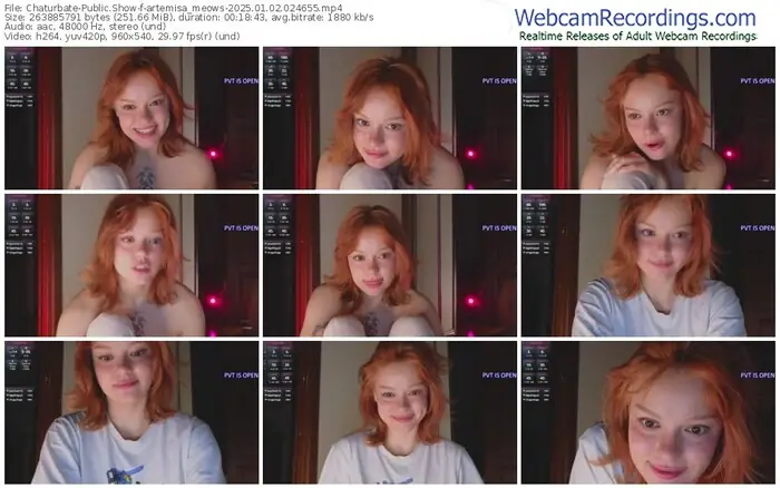2025/01/02/chaturbate-artemisa_meows-02-46-55