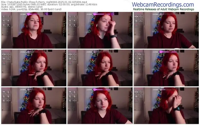 2025/01/02/chaturbate-cherry_night666-02-59-39