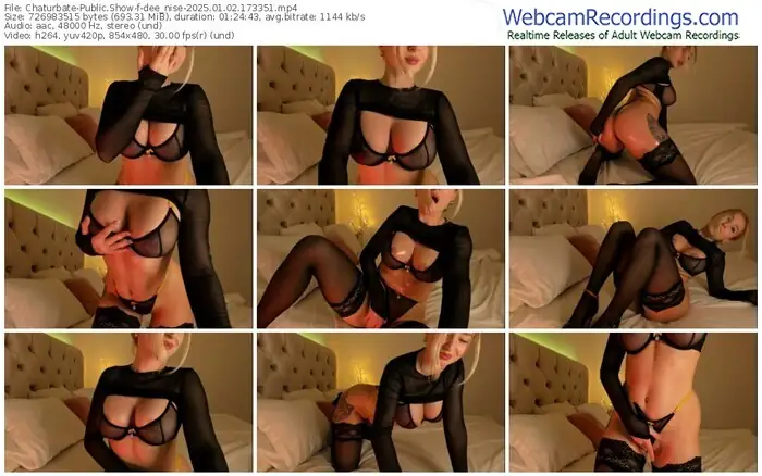 2025/01/02/chaturbate-dee_nise-17-33-51